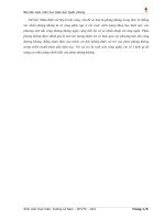 tiểu luận vai trò pháo phòng không