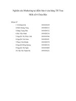 Nghiên cứu Marketing tại điểm bán ở cửa hàng TH True Milk số 6 Chùa Bộc