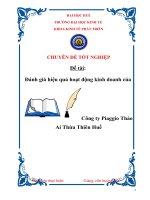 Đánh giá hiệu quả hoạt động kinh doanh của công ty piaggio thảo aí thừa thiên huế