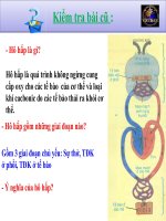 bài giảng tích hợp liên môn sinh học 8 CHỦ đề “bảo vệ hệ hô hấp