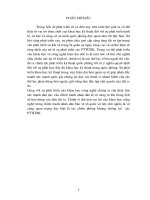 Tiểu luận quân sự các phương tiện tiến công đường không