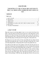 TIỂU LUẬN ẢNH HƯỞNG CỦA VIỆC SỬ DỤNG THUỐC BẢO VỆ THỰC VẬT ĐẾN HỆ VI SINH VẬT ĐẤT