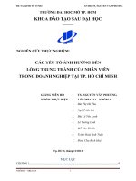 các yếu tố ảnh hưởng đến lòng trung thành của nhân viên trong doanh nghiệp tại tp. hồ chí minh