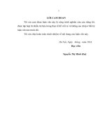 Luận văn thạc sĩ trường đại học thương mại  đề tài “phát triển dịch vụ thẻ thanh toán tại ngân hàng thương mại cổ phần đầu tư và phát triển việt nam – BIDV”