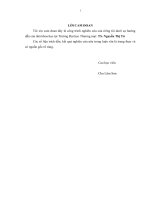 Luận Văn Thạc Sĩ Nâng cao chất lượng dịch vụ ăn uống của các nhà hàng khách sạn trên địa bàn tỉnh Hưng Yên