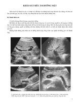 KHẢO SÁT SIÊU ÂM ĐƯỜNG MẬT