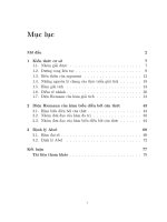 diện riemann và định lý abel về phương trình đa thức 