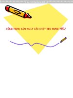 CÔNG NGHỆ sản XUẤT các CHẤT KEO RONG nâu 