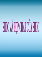 Giáo an PPT bài Silic
