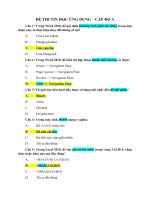 ĐỀ THI TIN học ỨNG DỤNG