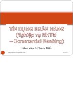 Bài giảng Tín dụng ngân hàng  Lê Trung Hiếu