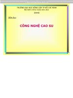 BÀI GIẢNG CÔNG NGHỆ CAO SU 