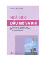EBOOK hóa học dầu mỏ và KHÍ   PHẦN 1   PGS TS  ĐINH THỊ NGỌ 