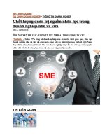 CHẤT LƯỢNG QUẢN TRỊ NHÂN lực TRONG DN NHỎ và vừa