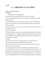 giáo án tích hợp liên môn sinh học 9 CHỦ đề  PROTEIN và sự SỐNG 