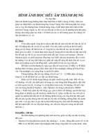 HÌNH ẢNH HỌC SIÊU ÂM THÀNH BỤNG