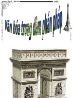 Văn hóa trong đàm phán pháp