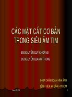 CÁC MẶT CẮT CƠ BẢN TRONG SIÊU ÂM TIM