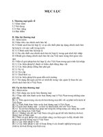 tiểu luận cao học môn kinh tế quốc tế bảo hộ và tự do hóa thương mại của việt nam trong dòng chảy thương mại quốc tế