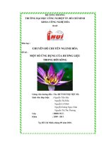 CHUYÊN đề một số ỨNG DỤNG của HƯƠNG LIỆU TRONG đời SỐNG 