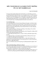 SIÊU ÂM ĐÁNH GIÁ GAN