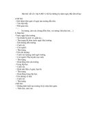 Dàn bài viết số 1 lớp 8