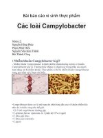 Bài báo cáo vi sinh thực phẩm