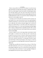 Đề tài Phân tích tình hình tài chính và những giải pháp nâng cao hiệu quả hoạt động tài chính của công ty cổ phần Hồng Phúc