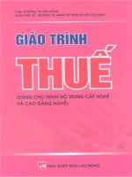 Giáo trình Thuế đại cương