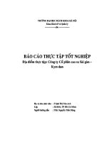 Báo cáo Thực tập tại Công ty Cổ phần cao su Sài gòn Kym dan