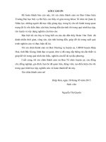 Báo cáo kiến tập quản trị nhân lực: Thực trạng và giải pháp nâng cao chất lượng đội ngũ cán bộ, công chức của huyện uỷ hiệp hoà