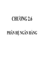 Chương 2.6. Phân hệ Ngân hàng
