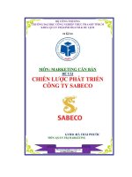Đề tài Chiến lược phát triển công ty sabeco