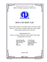 Báo cáo kiến tập quản trị nhân lực: Thực trạng và giải pháp nâng cao chất lượng nhân lực tại công ty cổ phần thiết bị và phát triển công nghệ tự động hóa lê nguyên