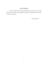 Huy động vốn tại Ngân hàng TMCP Đầu tư và Phát triển Việt Namchi nhánh Thăng Long, thực trạng và giải pháp