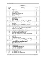 Báo cáo kiến tập quản trị nhân lực: thực trạng nguồn nhân lực ở uỷ ban nhân dân phường chí minh, thị xã chí linh, tỉnh hải dương