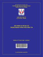 xác định vị trí sự cố trong mạng phân phối hình tia 