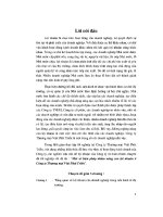 Chuyên đề Một số biện pháp nhằm nâng cao lợi nhuận ở công ty thương mại Việt Phát Triển