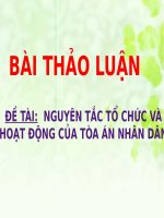 Nguyên tắc tổ chức và hoạt động của tòa án nhân dân
