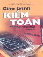Giáo trình Kiểm toán
