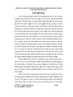 Khóa luận Phân tích tài chính và đề xuất biện pháp nhằm cải thiện tình hình tài chính tại công ty Hoa Tiên khu vực II