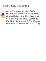 Bài giảng môi trường marketing