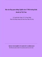 Báo cáo Tổng quan những nghiên cứu về môi trường kinh doanh tại Việt Nam