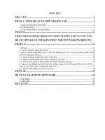 Báo cáo kiến tập dịch vụ pháp lý: xã yên lâm