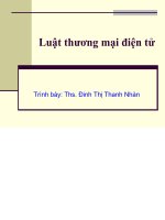 Bài giảng luật thương mại điện tử