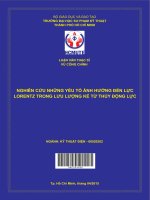 nghiên cứu những yếu tố ảnh hưởng đến lực lorentz trong lưu lượng kế từ thủy động lực 