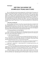 ĐÁP ỨNG TẠO KHÁNG THỂ VÀ MIỄN DỊCH TRUNG GIAN TẾ BÀO