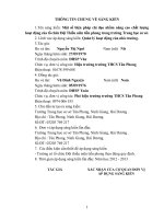 skkn một số biện pháp chỉ đạo nhằm nâng cao chất lượng hoạt động của tổ chức đội thiếu niên tiền phong trong trường trung học cơ sở 