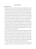 Báo cáo kiến tập quản trị nhân lực: Tìm hiểu về công tác tuyển dụng công chức cấp xã,phường, thị trấn tại huyện chi lăng