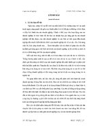 Luận văn Phân tích tình hình tài chính của công ty cổ phần đầu tư xây dựng Phú Hưng Gia